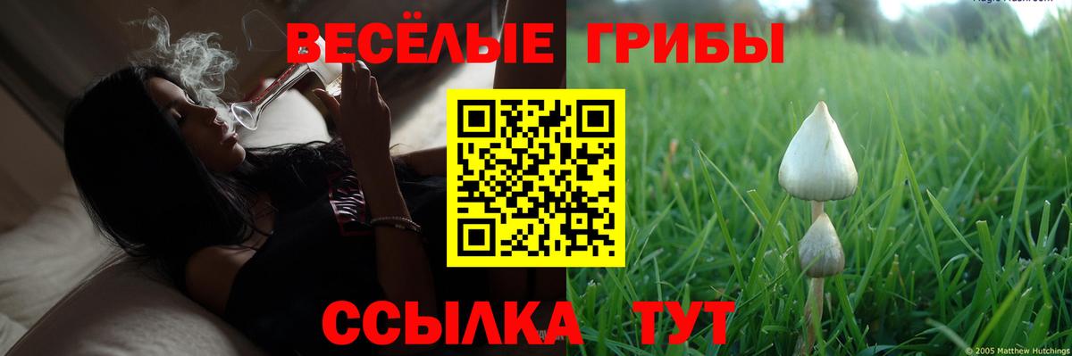 Псилоцибиновые грибы мицелий  Вход с VPN  Тула  где продают наркотики  Галлюциногенные грибы ЛСД 